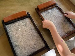 -大象粑粑造纸公园