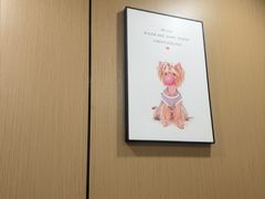 -半岛宠物医院24小时(西派城店)