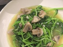 -盛京大奥莱(沈阳奥体店)