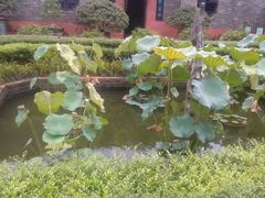 android_upload_pic-东莞市可园博物馆