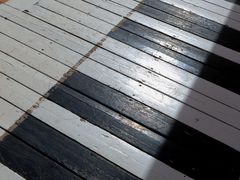 -花海间·即刻露营