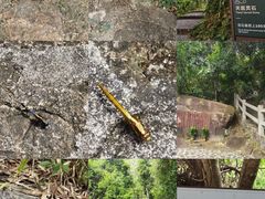 -广东温泉宾馆