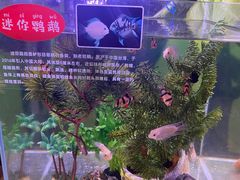 -南京海底世界