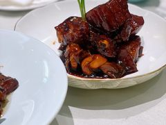 红烧肉-蝶园·装修中(BFC外滩金融中心店)