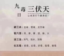 -安吉拉青春化管理中心