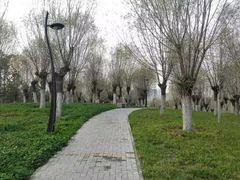 -洨河生态公园