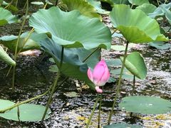 -星巴克(西藏路店)