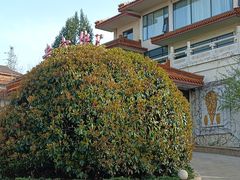 -舜耕山庄南风阁(舜耕路店)