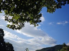 -香山公园