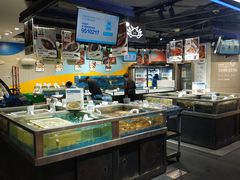 水产区-盒马鲜生(189购物中心店)