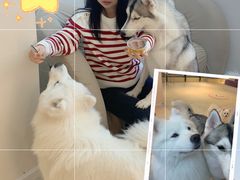 -怪兽屋·羊驼·猫咖·狗咖(俊华广场店)