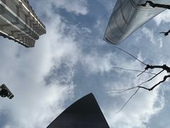-上海柏悦酒店·世纪100牛排馆