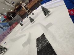 -长沙湘江冰雪世界