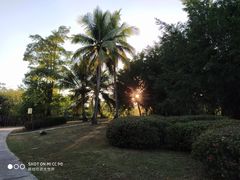 -三亚珠江南田温泉度假区