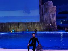 -华夏文旅海洋公园