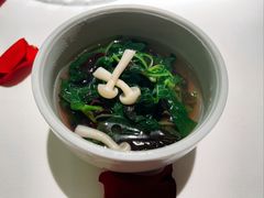 -西郊5号·Maggie 5