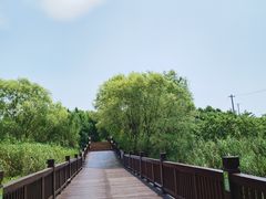 -苏州太湖国家湿地公园