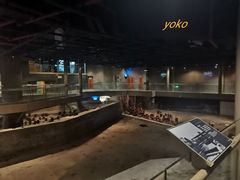 -元代水闸遗址博物馆