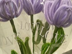 -浔庐餐厅•江西老字号•九江菜(南湖国际店)