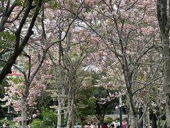 -四海公园(南山区)