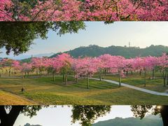 -风云岭森林公园