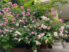 -谷咖啡·鲜花绿植花园餐厅