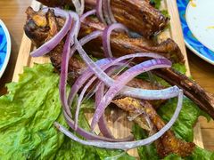 -巴依老爷新疆美食(望京小街店)