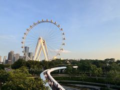 -NAYA·亚洲泰菜(欢乐港湾店)