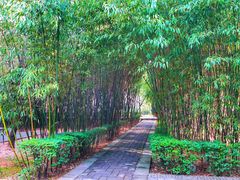 -终南山古楼观历史文化景区