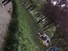 -洨河生态公园