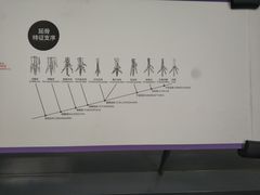 -重庆自然博物馆(新馆)