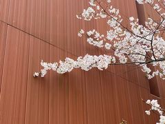 -中山公园