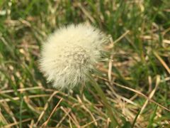 -北京国家会计学院