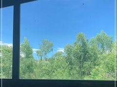-大湾区中央湿地公园-十九涌