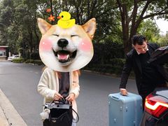 -爱马仕 HERMES(上海ifc商场店)