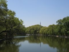-北陵公园