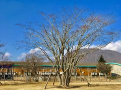 -轻井泽王子购物广场