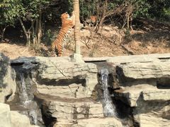 -宁波野生动物园