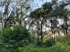 -长春市南湖公园