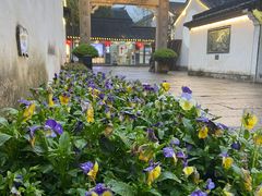 -绍兴鲁迅故里·沈园景区