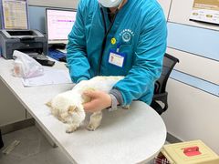 -中农国际动物医院24小时·猫科·骨科·急重症中心