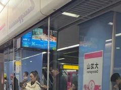 -大龙山(地铁站)