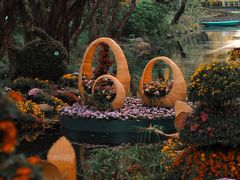 -上海共青森林公园