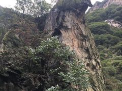 -少华山国家森林公园