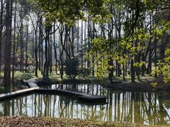 -杭州植物园
