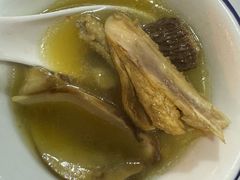 -蘑统田下·野生菌火锅