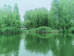 -白洋淀风景区
