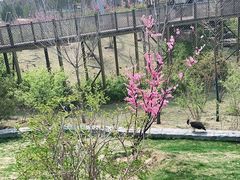 -太原动物园