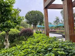 -成都安仁福朋喜来登酒店