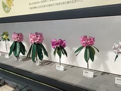 -四川大学博物馆